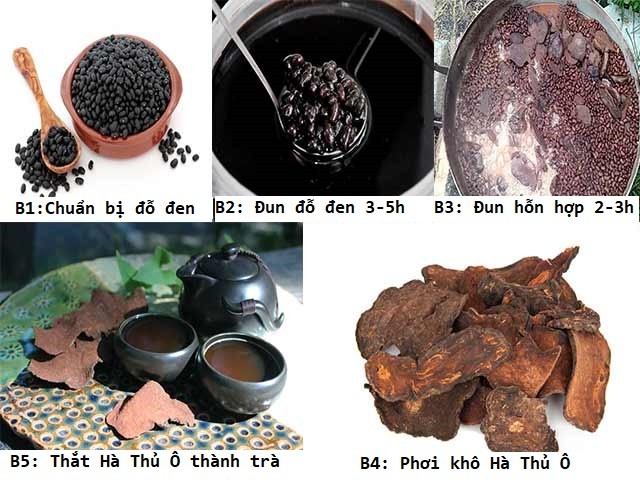 Dầu gội làm đen tóc tự nhiên không hề gây hại cho da đầu 2