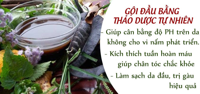 Những cách dưỡng tóc bằng thảo mộc bạn nên thử 1