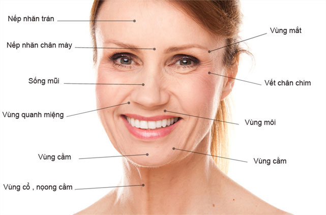 Chống lão hóa da nhờ 4 loại mỹ phẩm này 2