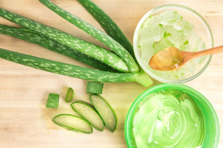 10 phút với cách dưỡng da bằng nha đam 3