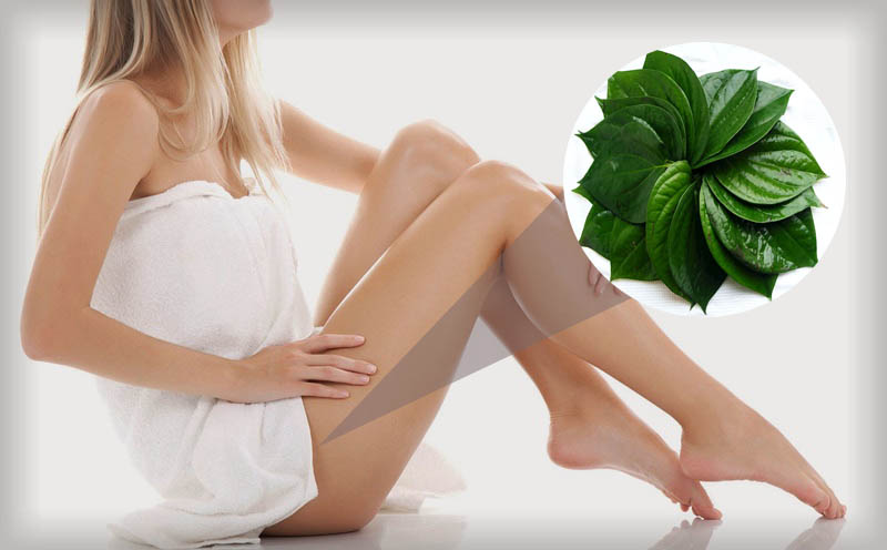 Chia sẻ mẹo hay: Vệ sinh vùng kín bằng lá trâu không 2