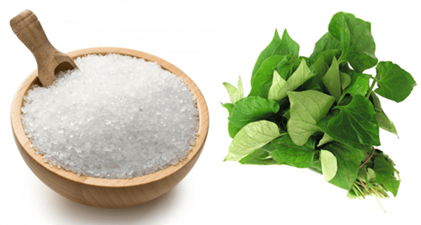 Bất ngờ với cách trị mụn bằng rau diếp cá 3