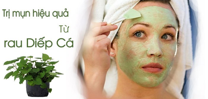 Bất ngờ với cách trị mụn bằng rau diếp cá 