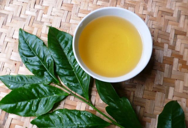 nước trà xanh trị mụn