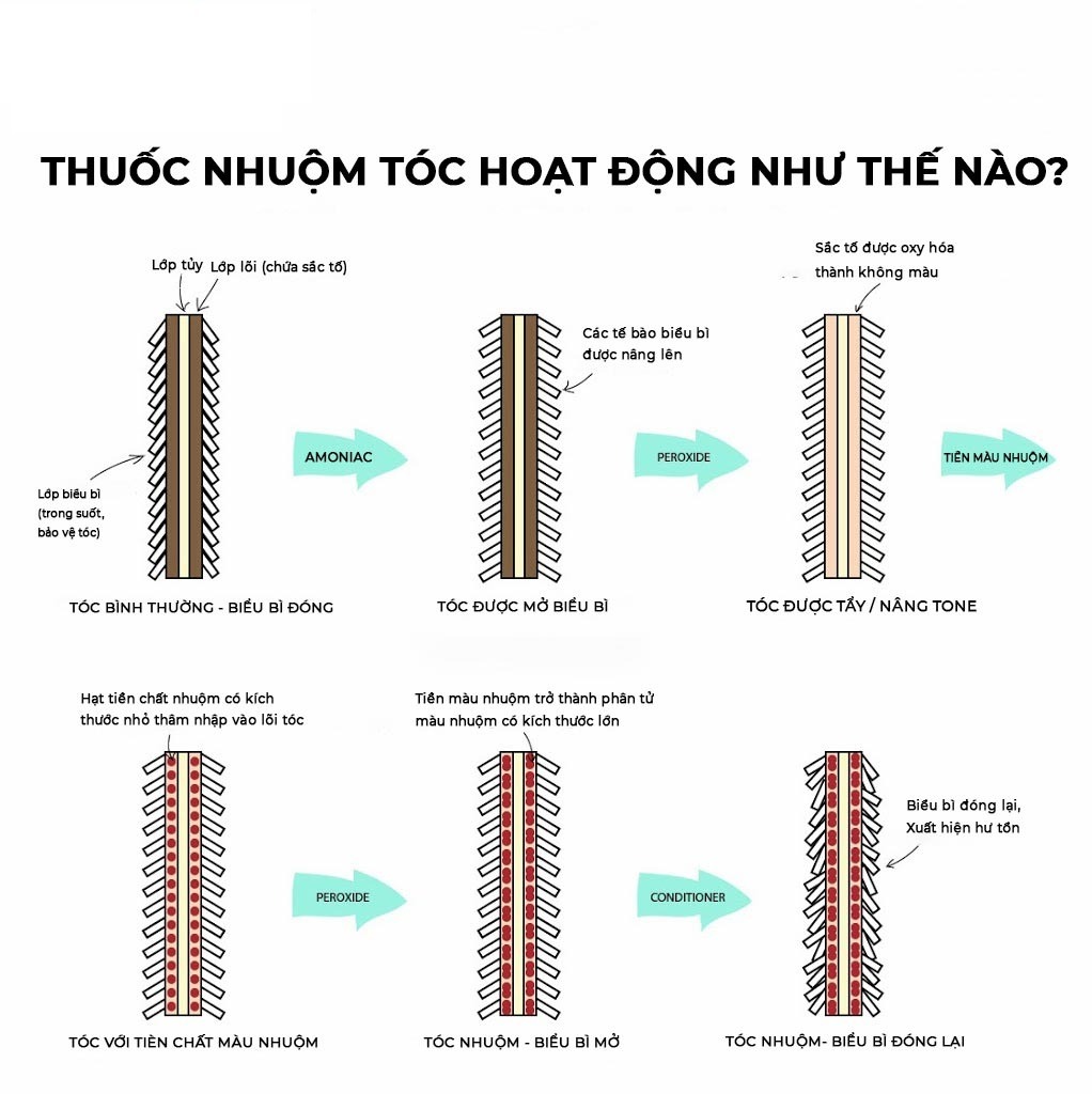 Nhuộm thảo mộc là gì? Cơ chế của thuốc nhuộm tóc ra sao? 2
