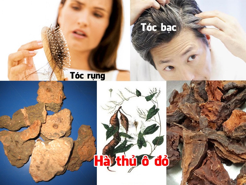 Những giải pháp dành cho tóc bạc đáng để bạn thử 2