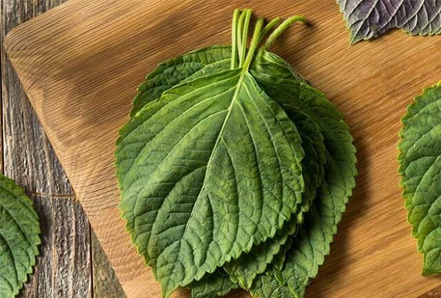 Điểm danh những mẹo làm đẹp da tại nhà cực hiệu quả 3