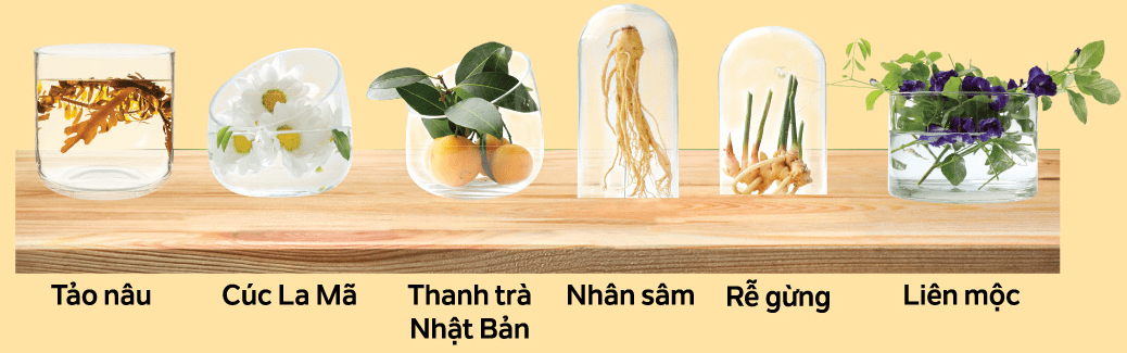 Bí quyết dưỡng tóc từ thảo dược thiên nhiên an toàn cho mái tóc 