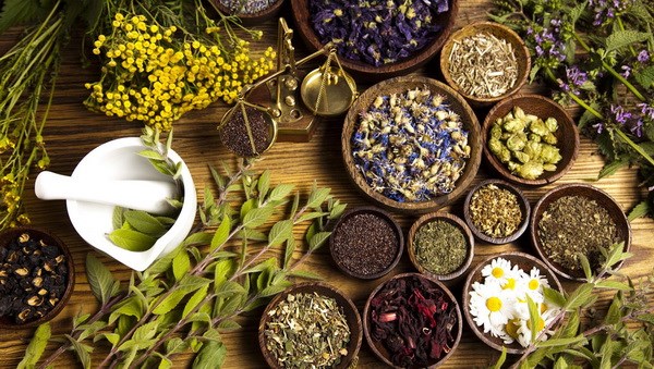 Làm đẹp tóc nhờ thuốc nhuộm tóc thảo dược