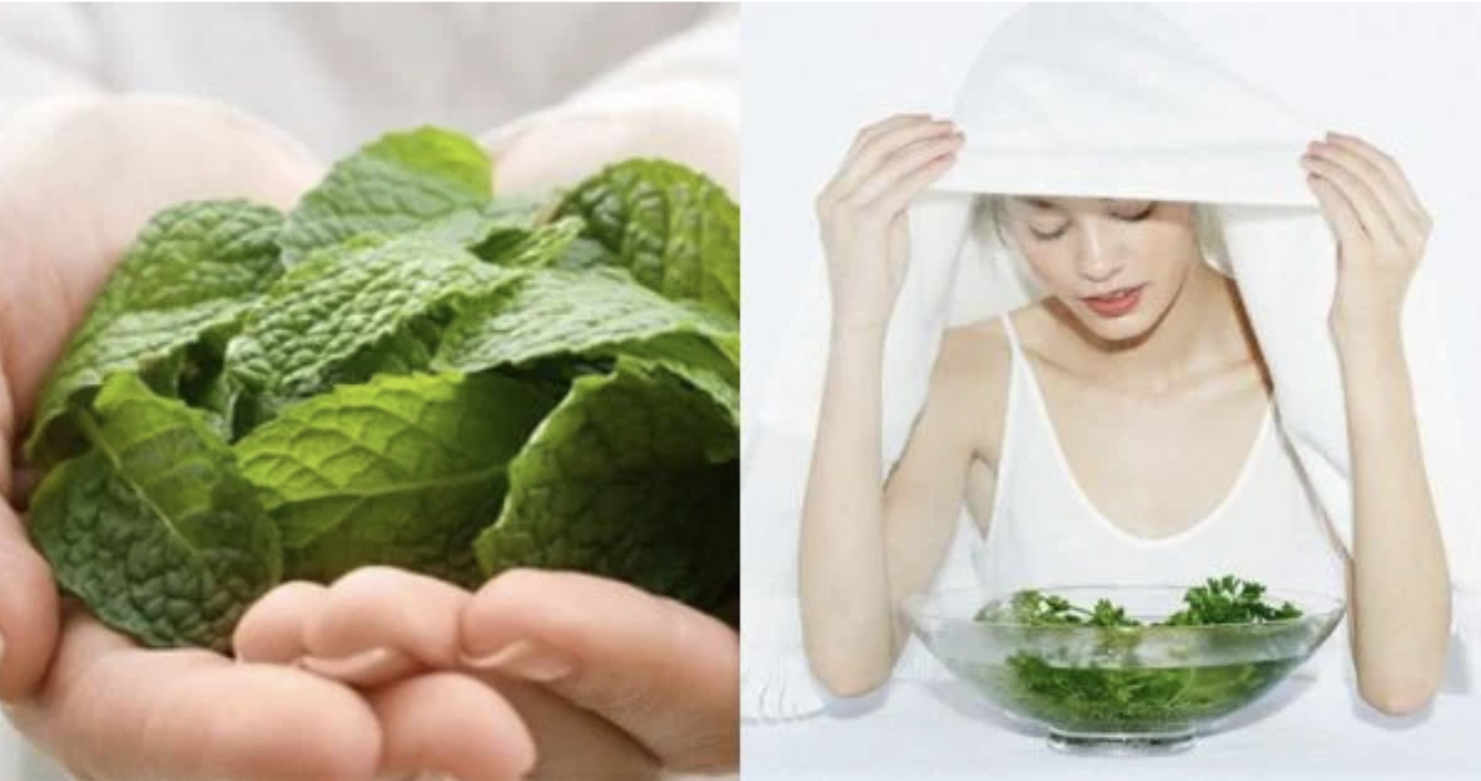 Công Dụng Làm Dịu Và Làm Mát Của Bạc Hà