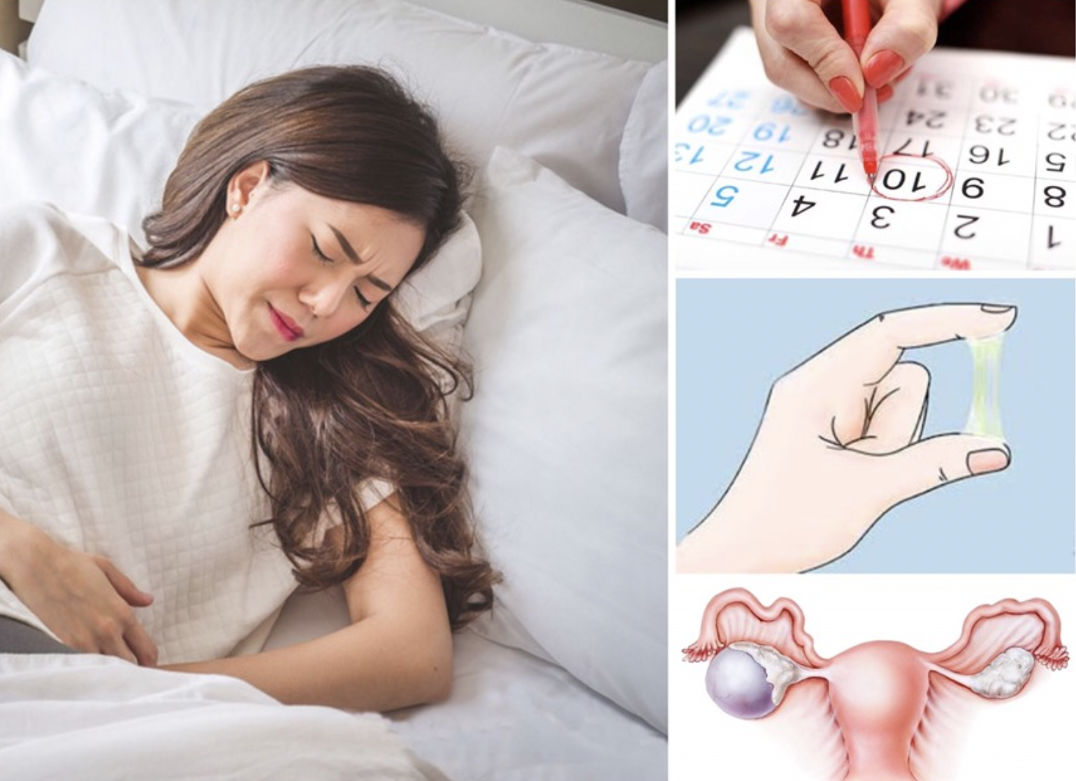 5 bệnh phụ khoa thường gặp ở phụ nữ