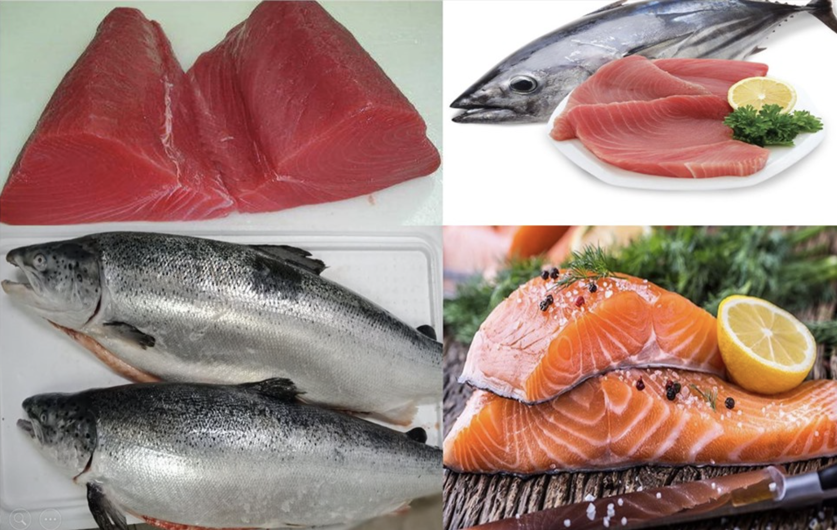 Các loại cá béo như cá hồi, cá thu, cá mòi, và cá trích là nguồn Omega-3 phong phú