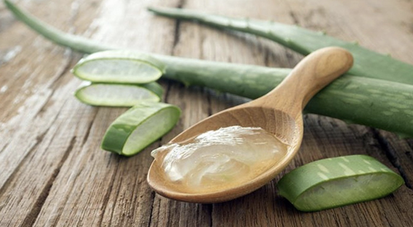 Trị ngứa vùng kín tại nhà bằng nha đam