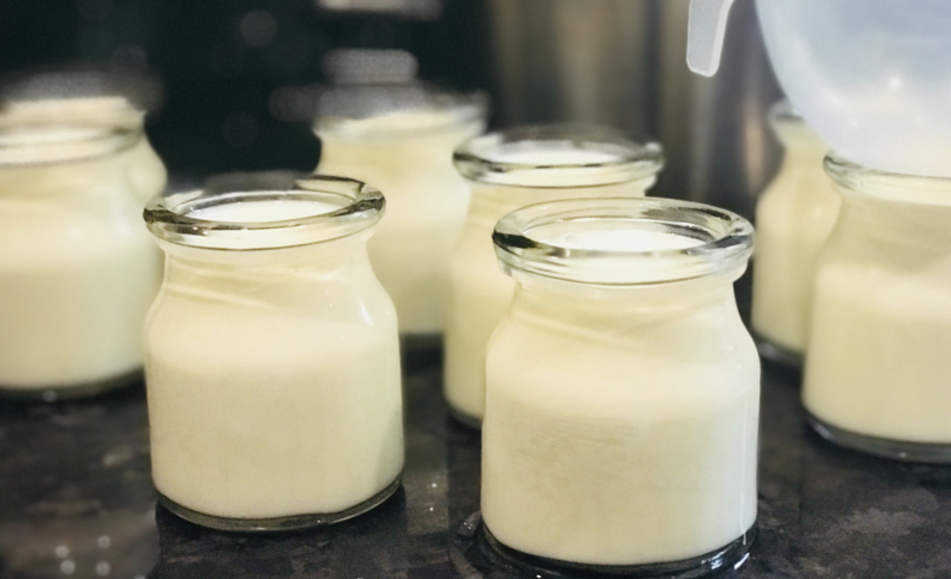 Dùng sữa chua để trị ngứa vùng kín tại nhà 