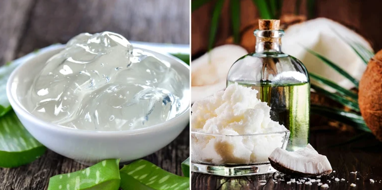 Ủ tóc bằng nha đam và dầu dừa